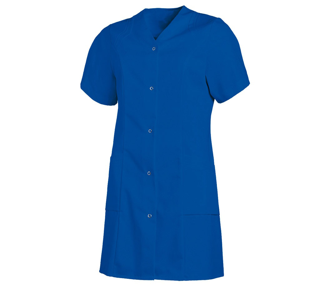 1631 kornblau